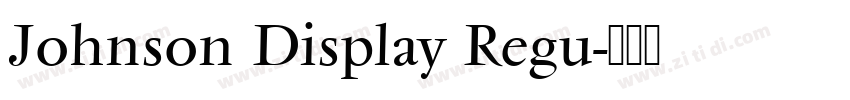 Johnson Display Regu字体转换